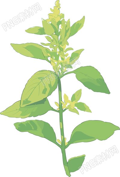 水彩植物商用图案元素