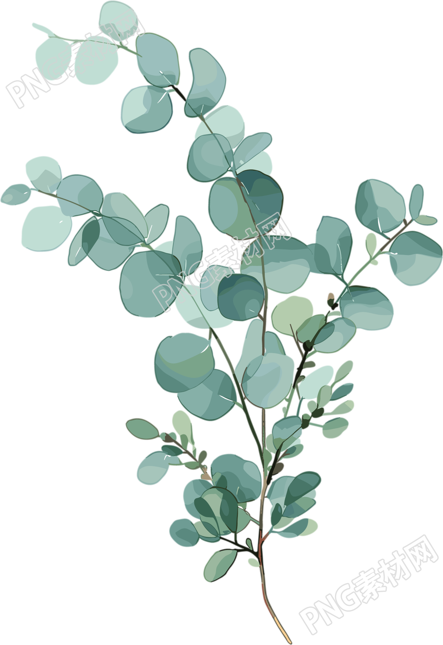 尤加利叶水彩植物元素