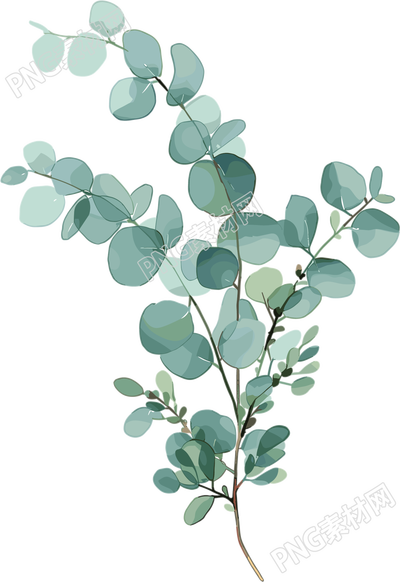 尤加利叶水彩植物元素
