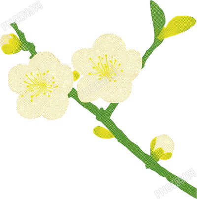 樱花水彩植物插画