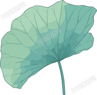 绿色荷叶夏天插画