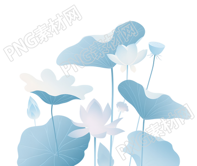 荷叶夏天插图
