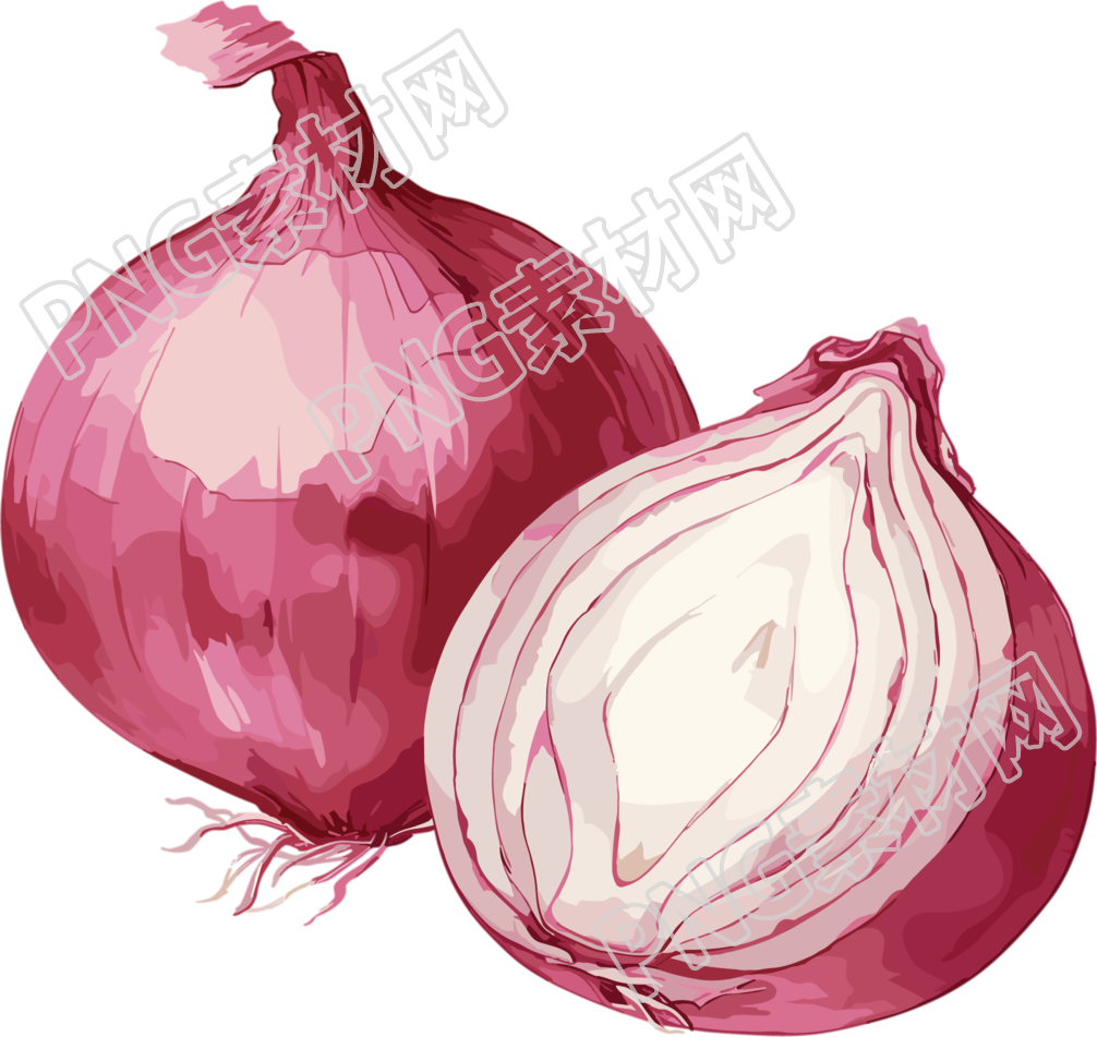 洋葱创意插图