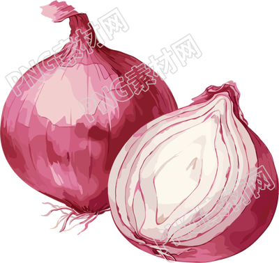 洋葱创意插图