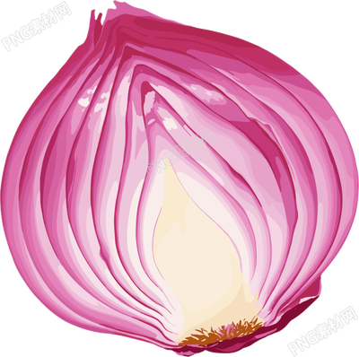 洋葱矢量插图