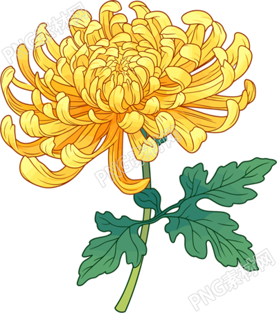 水彩菊花唯美插画