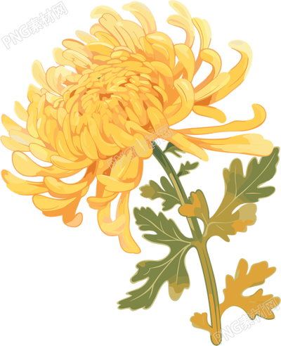 水彩菊花创意插图