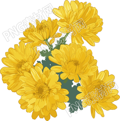 水彩菊花花束素材