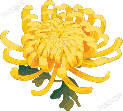 水彩菊花创意设计元素