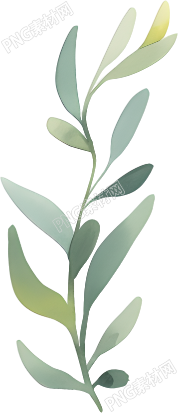 水彩植物图案插画