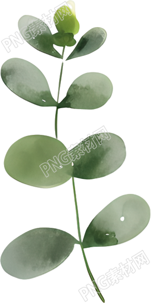 水彩植物图案元素