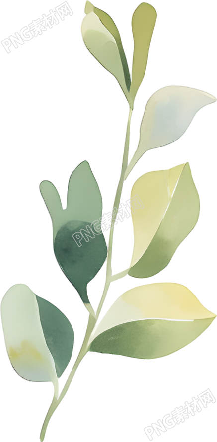 水彩植物创意设计插画