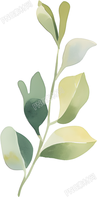 水彩植物创意设计插画