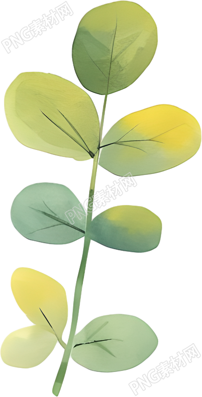 水彩植物创意设计素材
