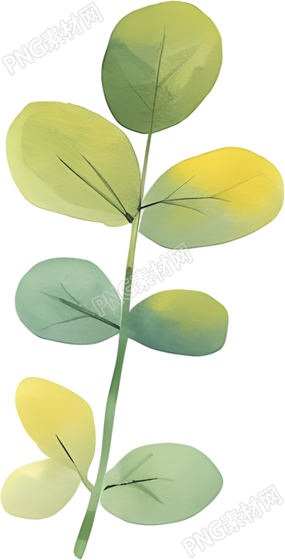 水彩植物创意设计素材
