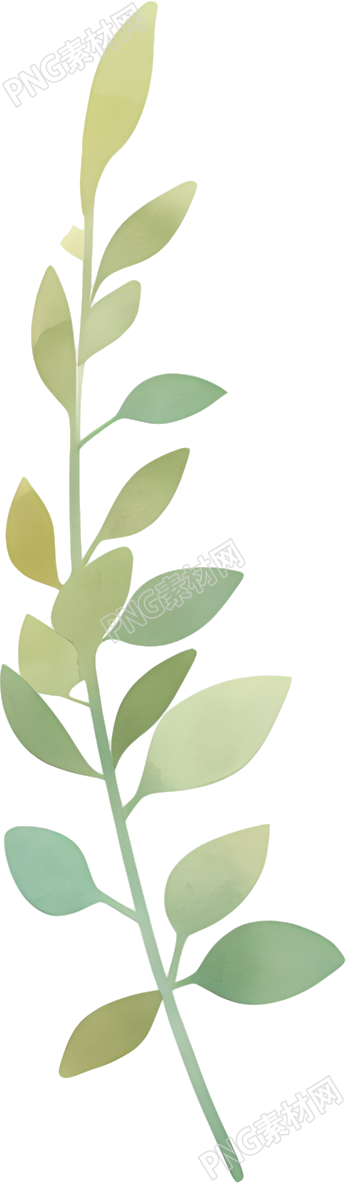 水彩植物极简插图