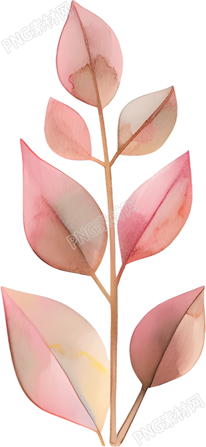 水彩植物极简插画