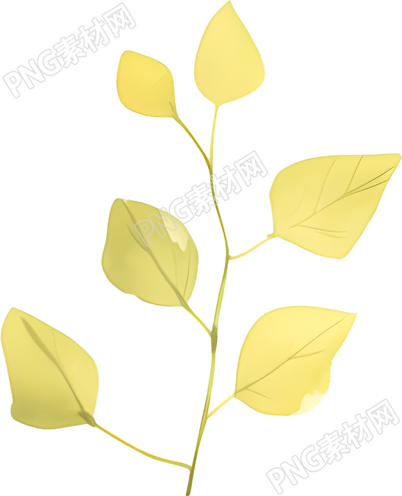 水彩植物极简素材