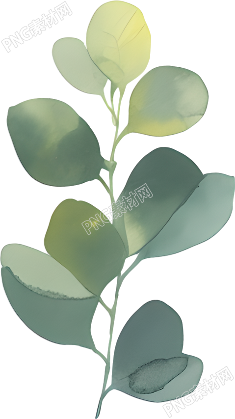水彩植物透明背景插图