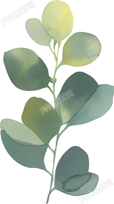 水彩植物透明背景插图
