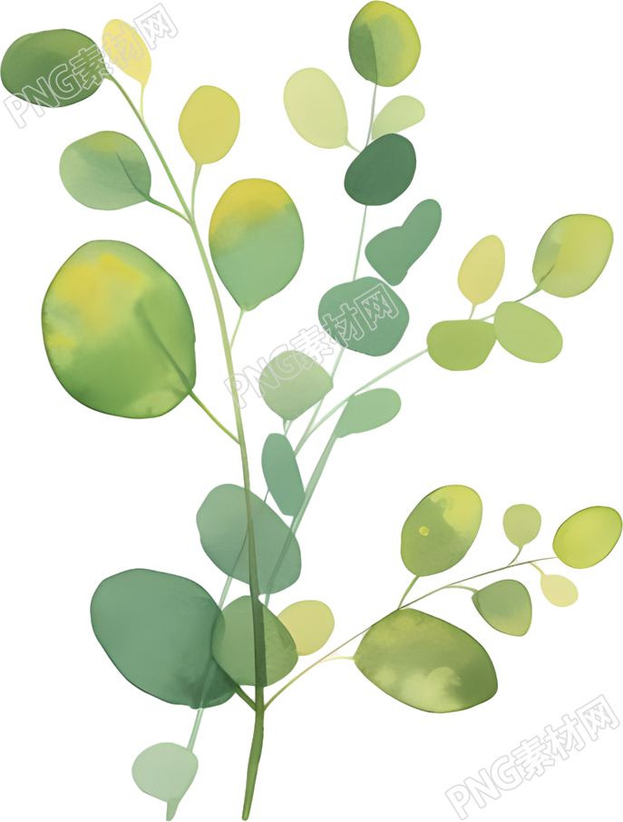 水彩植物透明背景插画