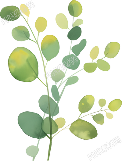 水彩植物透明背景插画