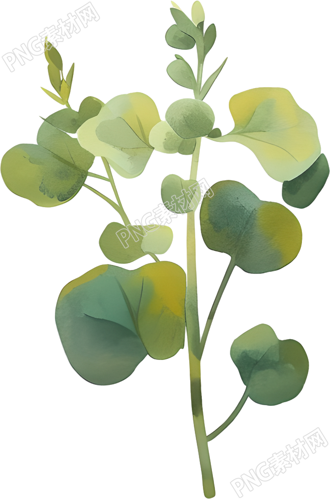 水彩植物商用插图