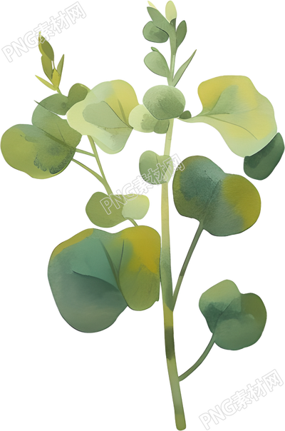 水彩植物商用插图