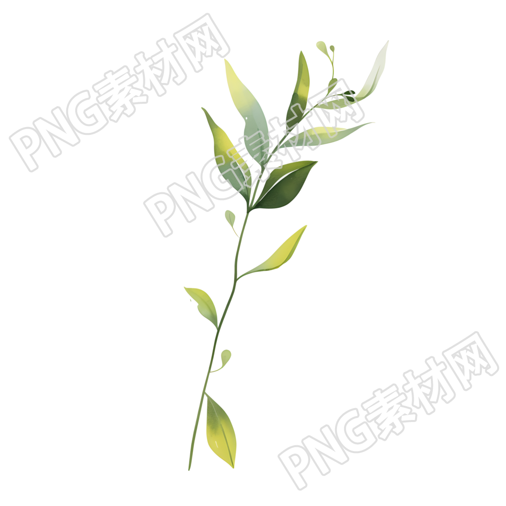 水彩植物商用插画