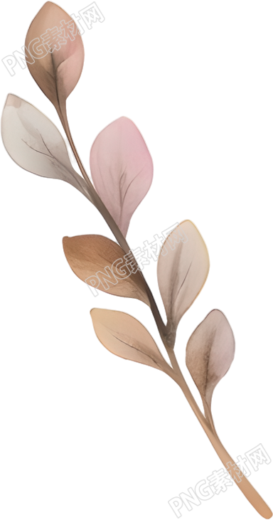 水彩植物图形插画