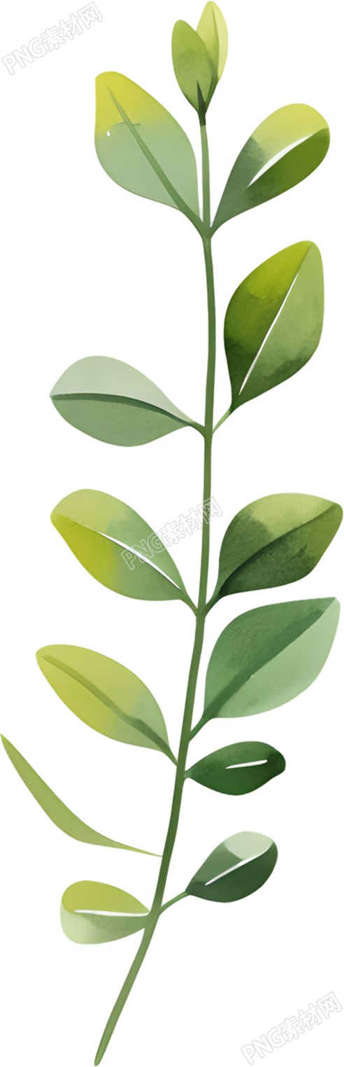 水彩植物创意设计元素