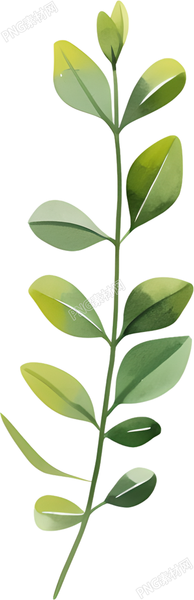 水彩植物创意设计元素