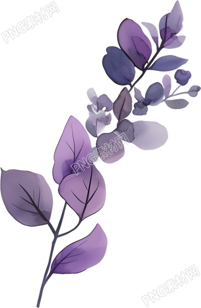 水彩植物唯美插图