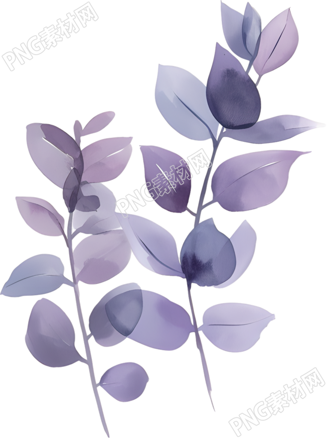 水彩植物唯美插画