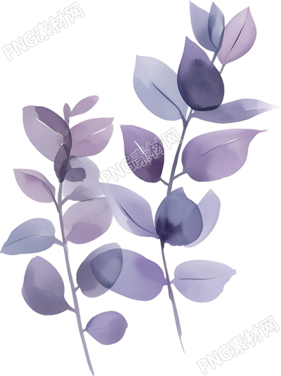 水彩植物唯美插画