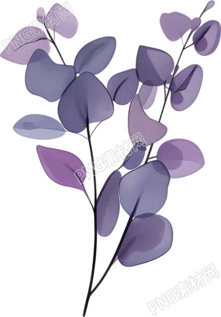 水彩植物简约插画
