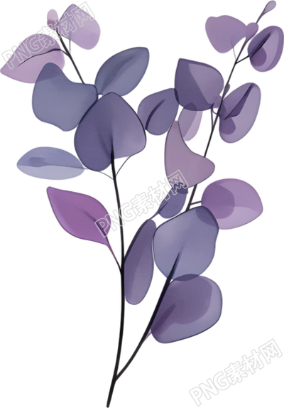 水彩植物简约插画