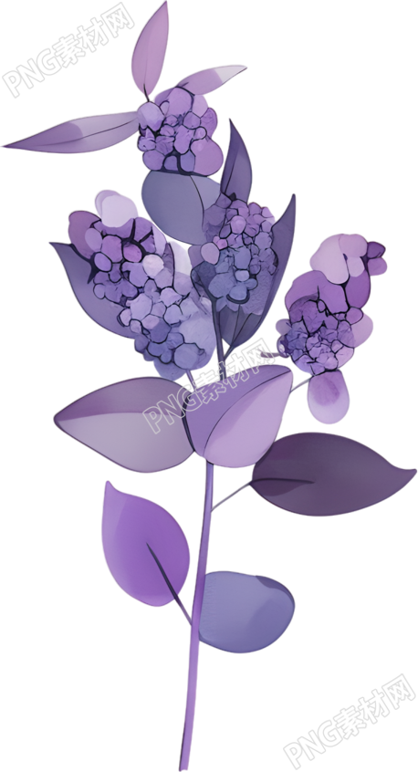 水彩植物PNG元素