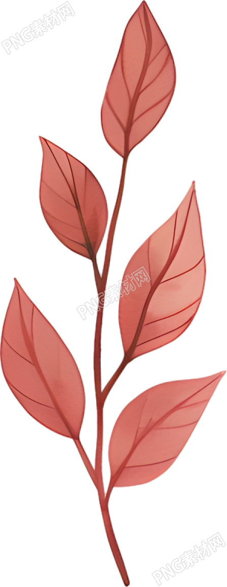 水彩植物高清插画