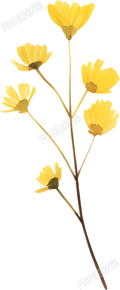 水彩小黃花裝飾插畫