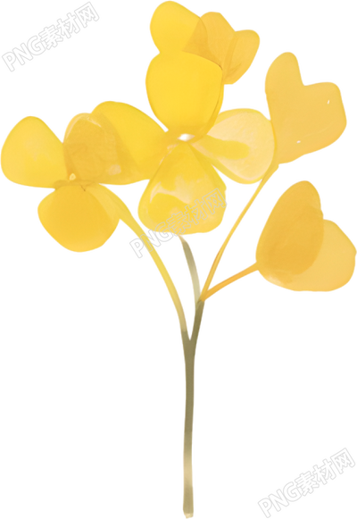 水彩油菜花裝飾插圖