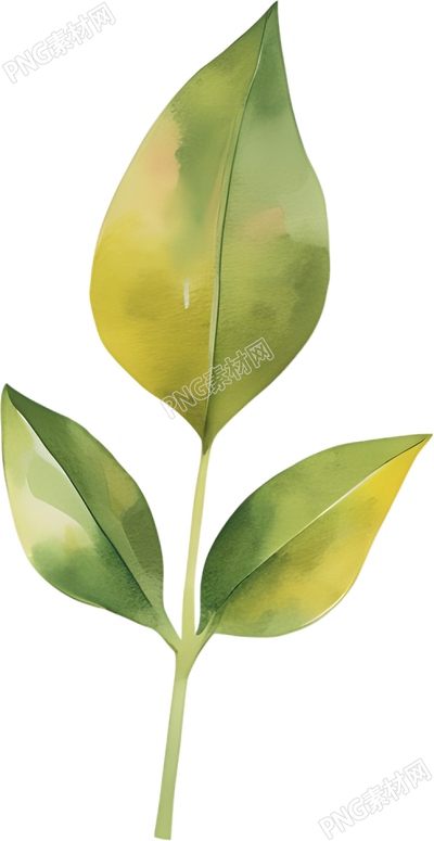 水彩植物裝飾插畫