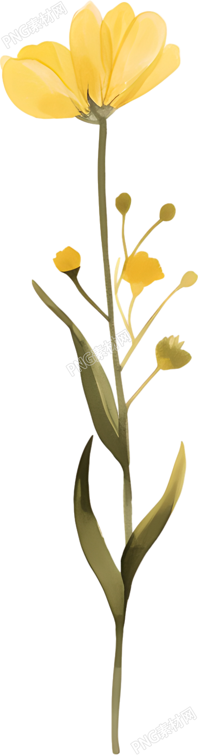 水彩小黃花裝飾素材