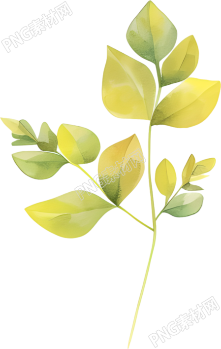 水彩植物装饰元素