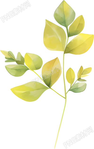 水彩植物裝飾元素