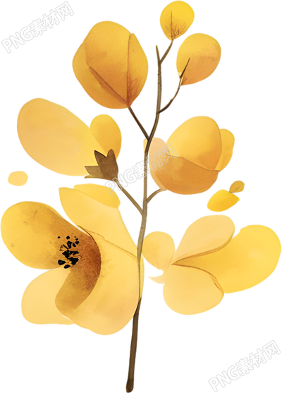 水彩小黃花插圖