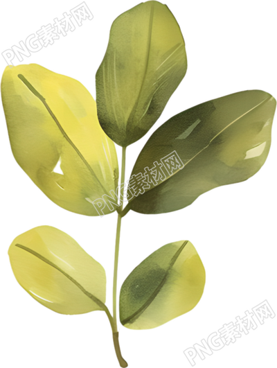 水彩葉子藝術(shù)性插畫