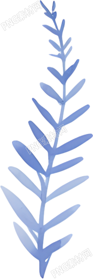 水彩叶子商用插画