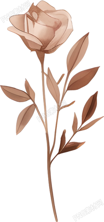 水彩花卉高清质量插图