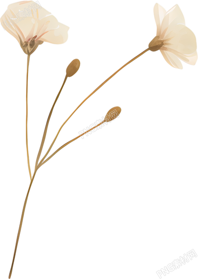 水彩花卉插图